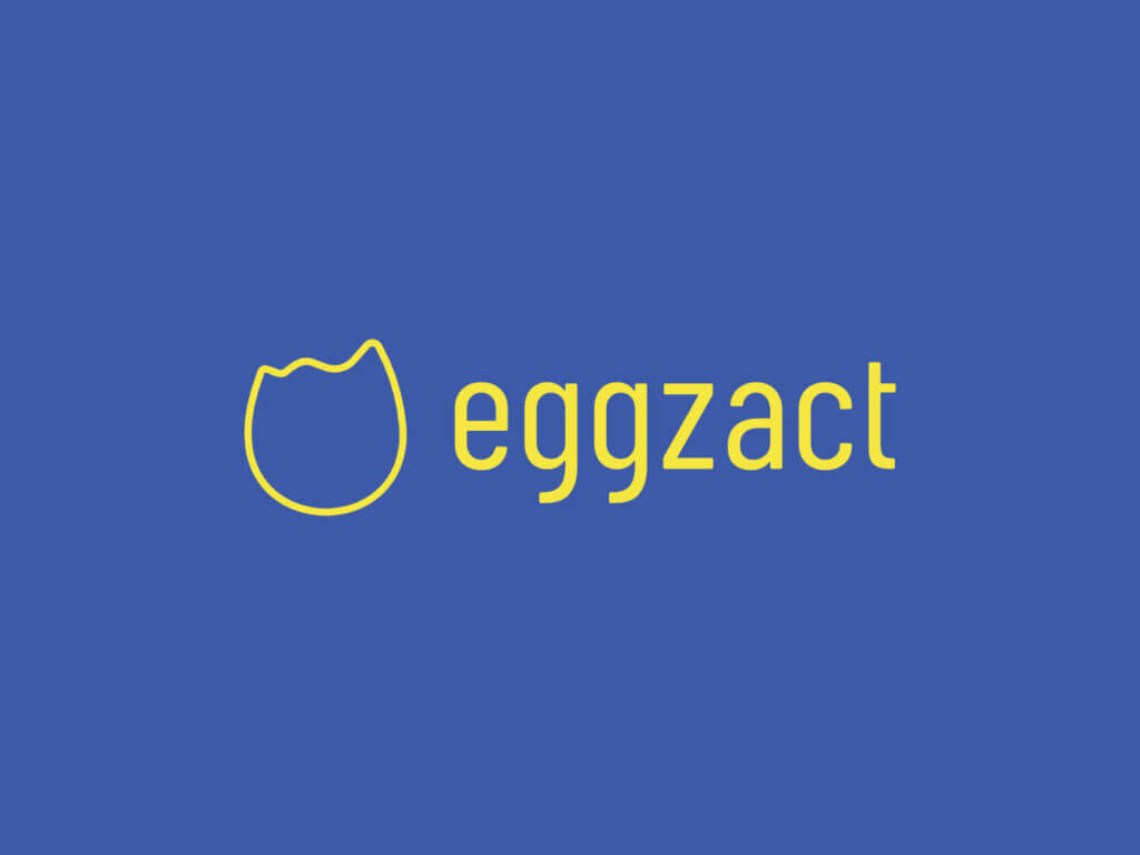 eggzact logo text & iconita - fundal colorat